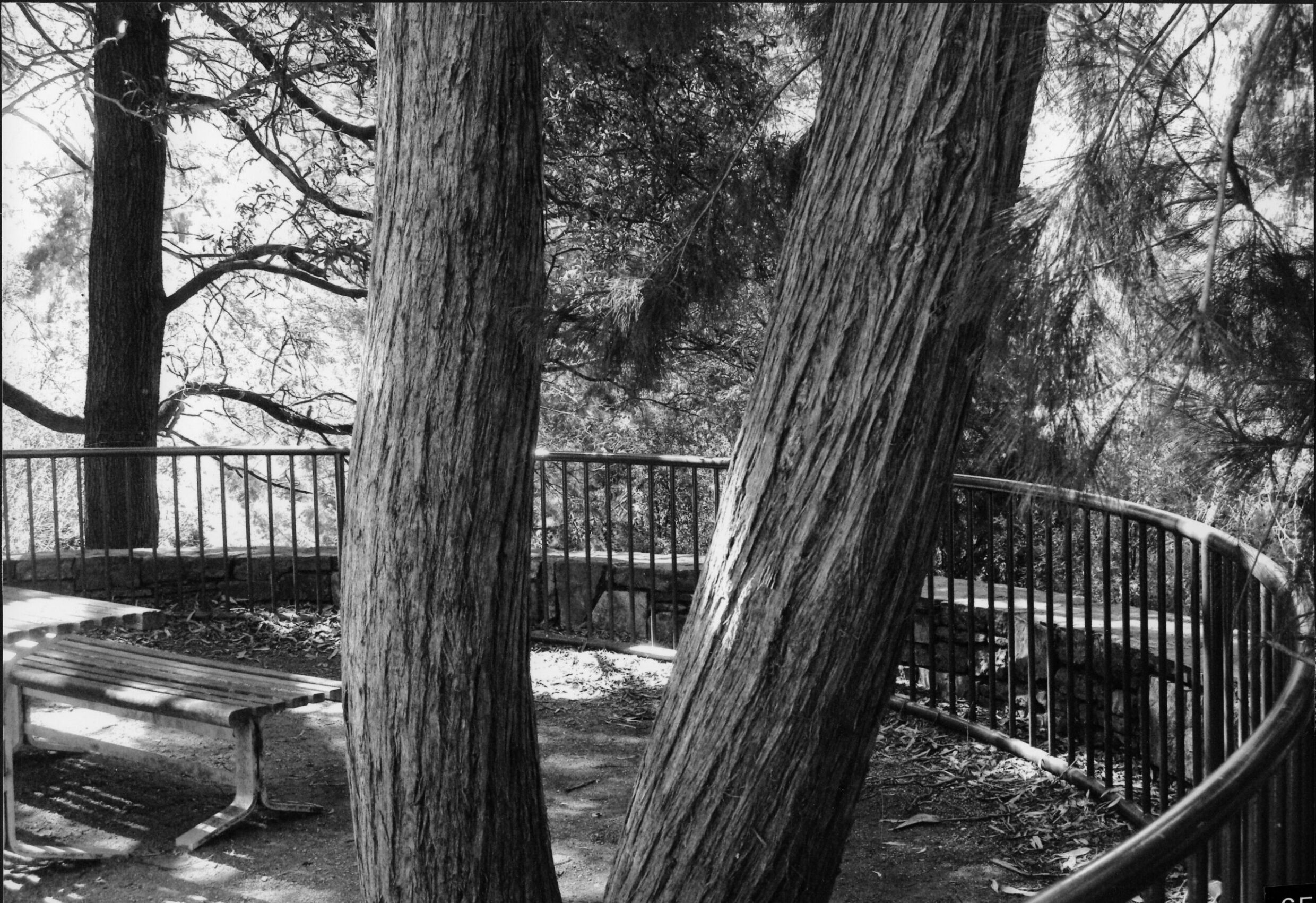 1st Prize High School - Black and White Vanessa Thompson, Canberra High School "A place for a picnic"