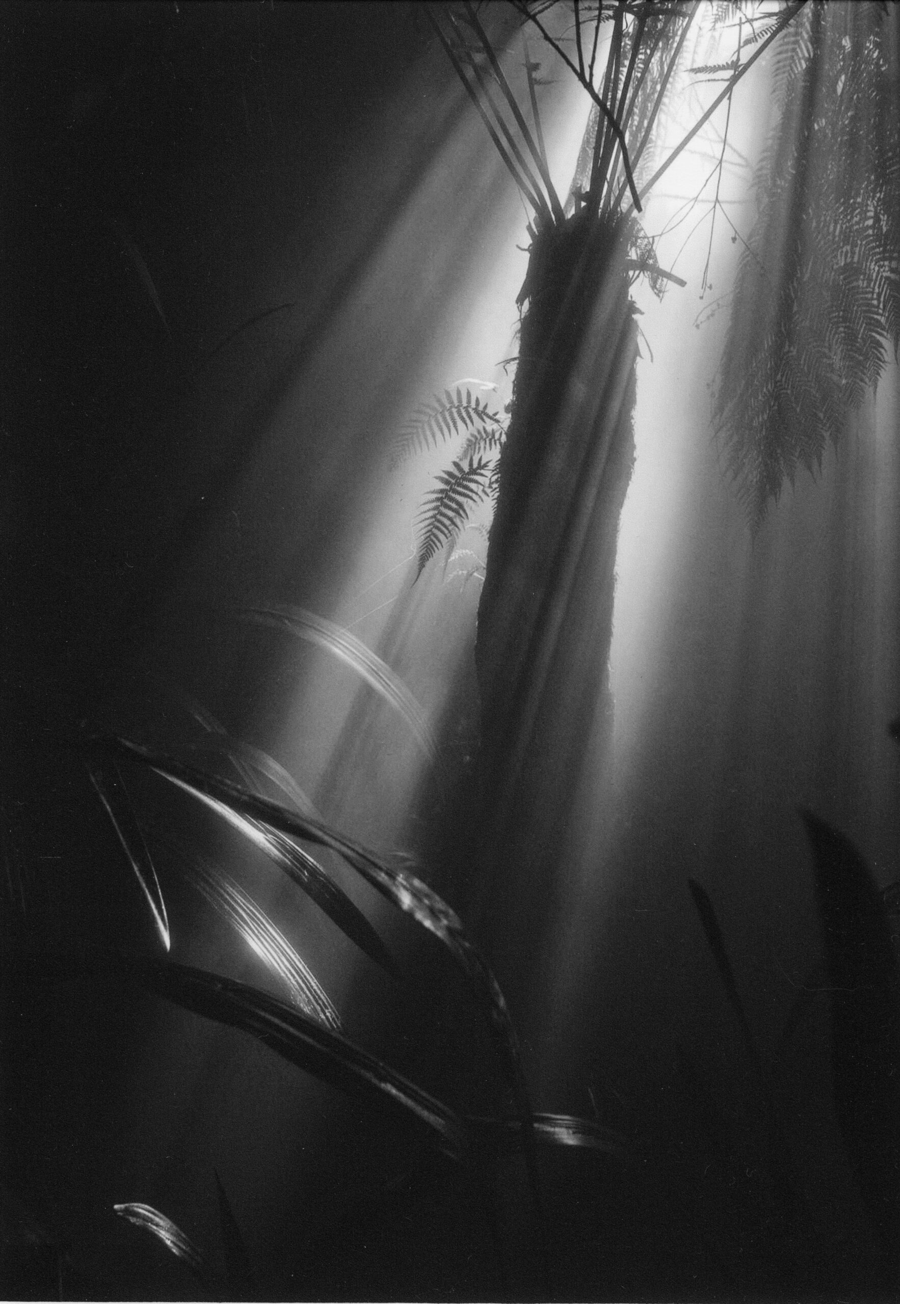 3rd Secondary Monochrome Fading ln Thomas Price, Canberra College