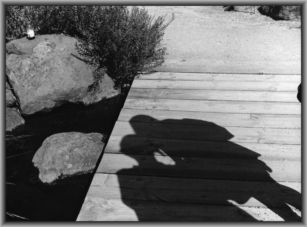 Highly Commended: Kara Rawnsley, Canberra HS "Shadow Kissed"