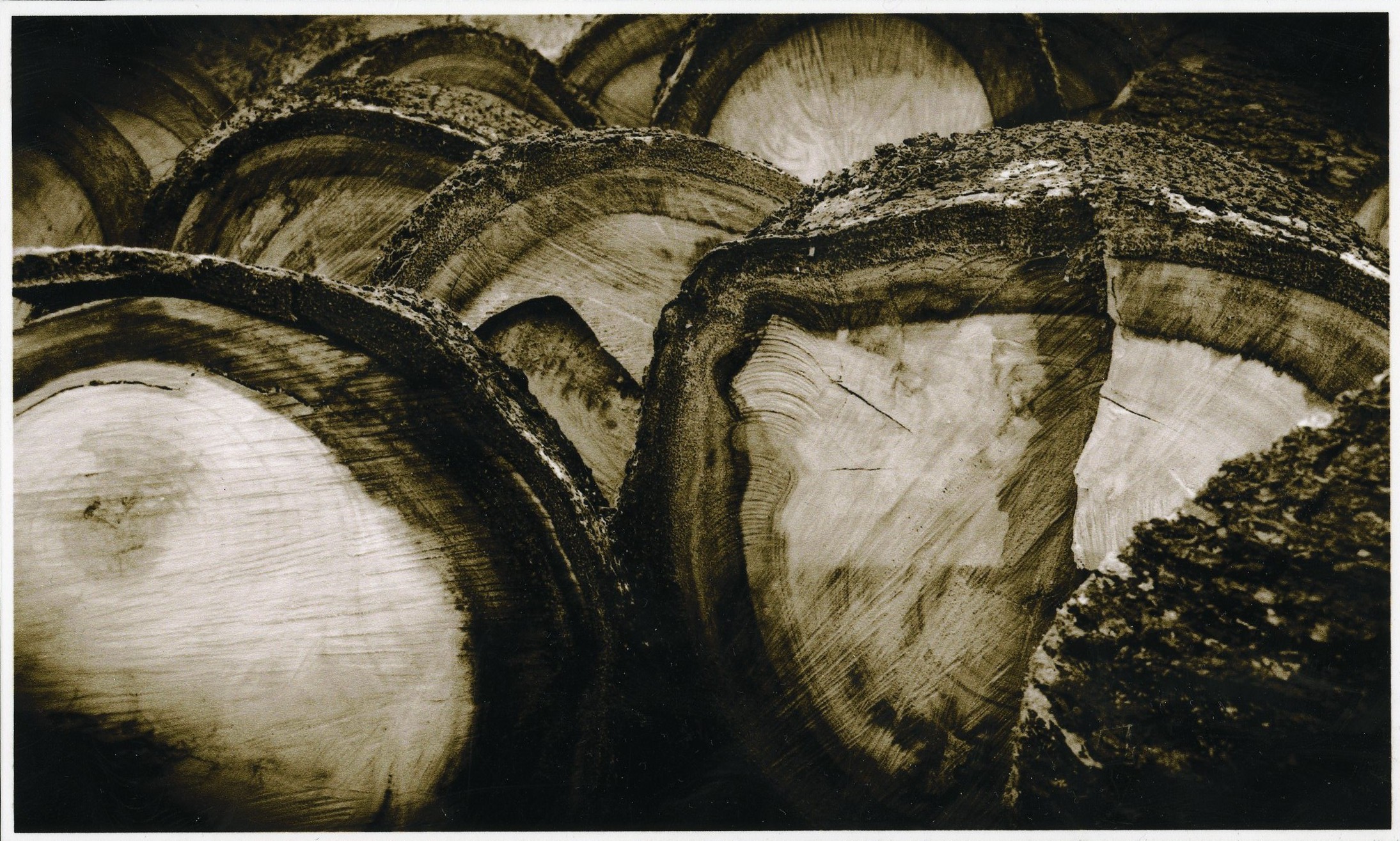 Highly Commended High School - Black and White Jacob Calder, Mount Stromlo High "Logs"