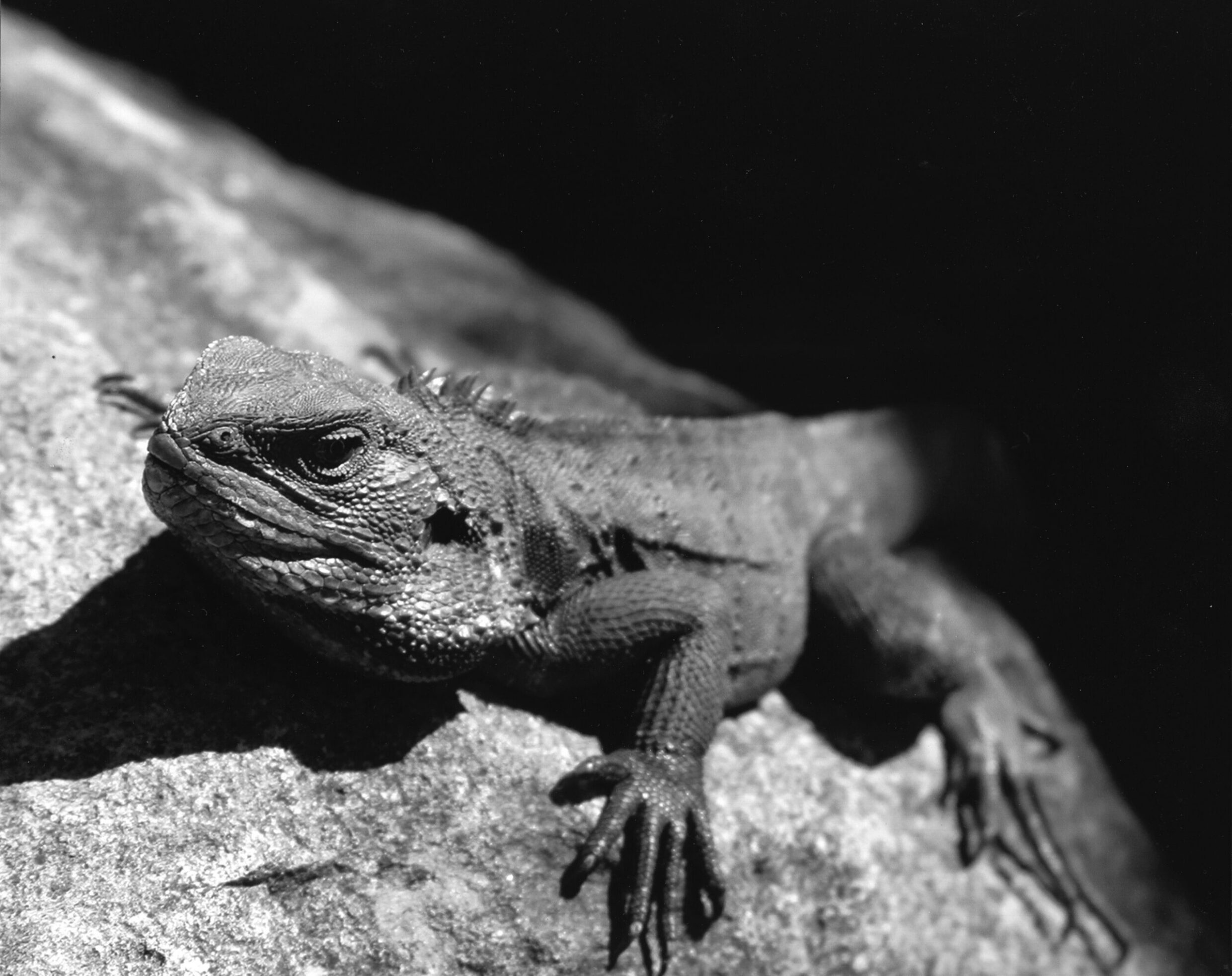 2nd Secondary Monochrome Sun Baking Erin Duncan, Canberra High School