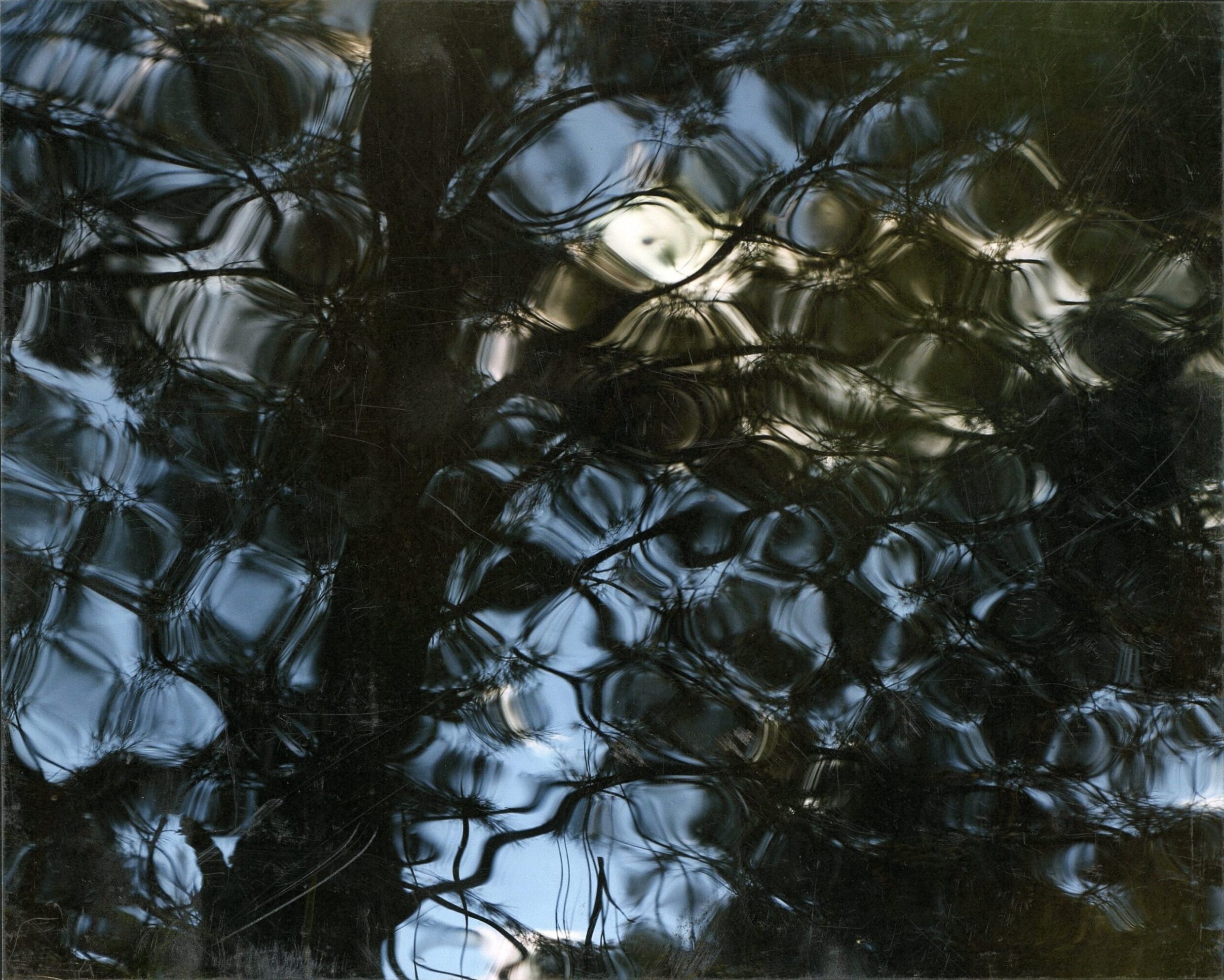 Commended High School - Colour Darcy Wiblin, St Edmunds College "Ripple"