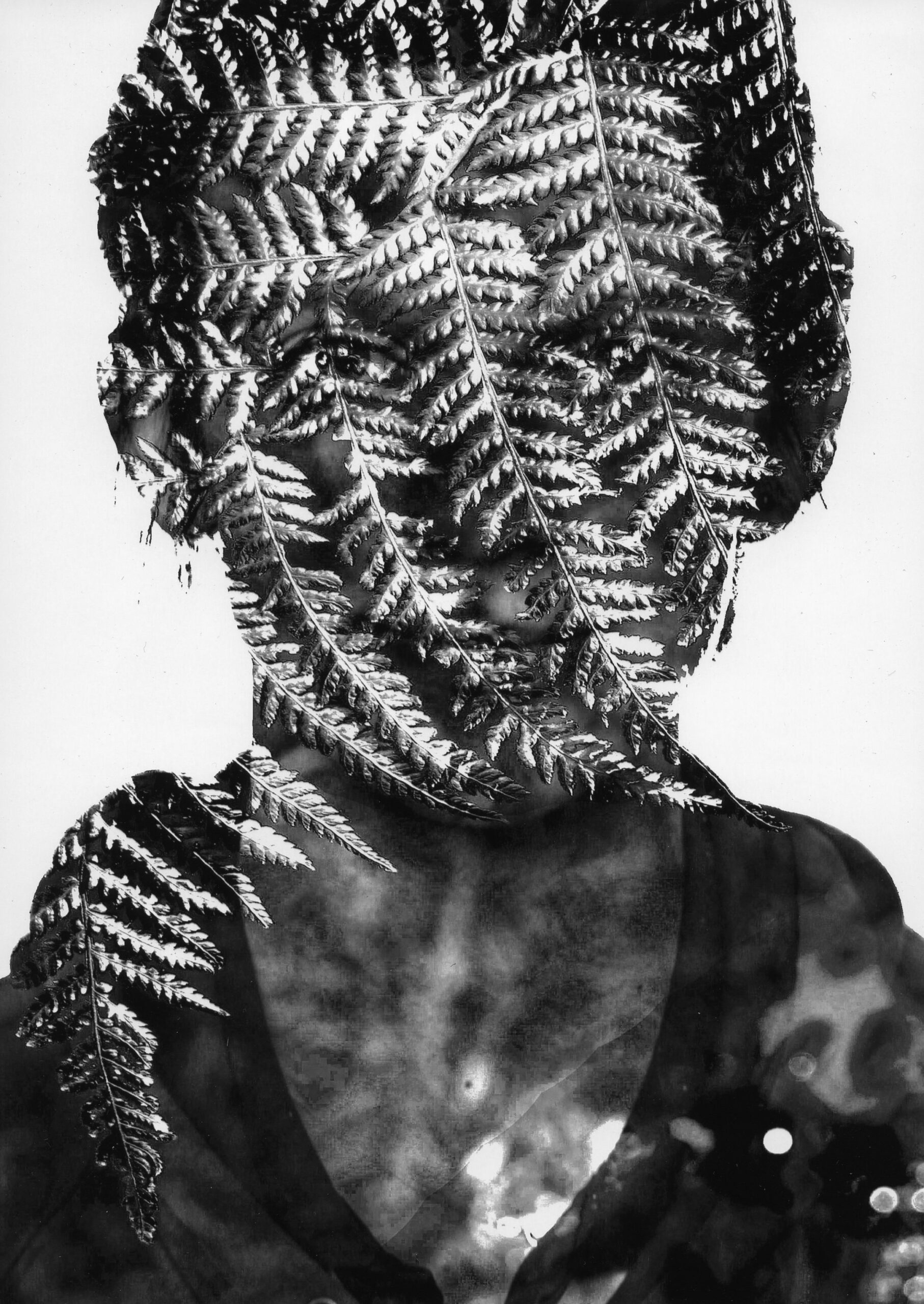 3rd Prize Altered images Jaz Logan, Mt Stromlo High School "Fern Face"