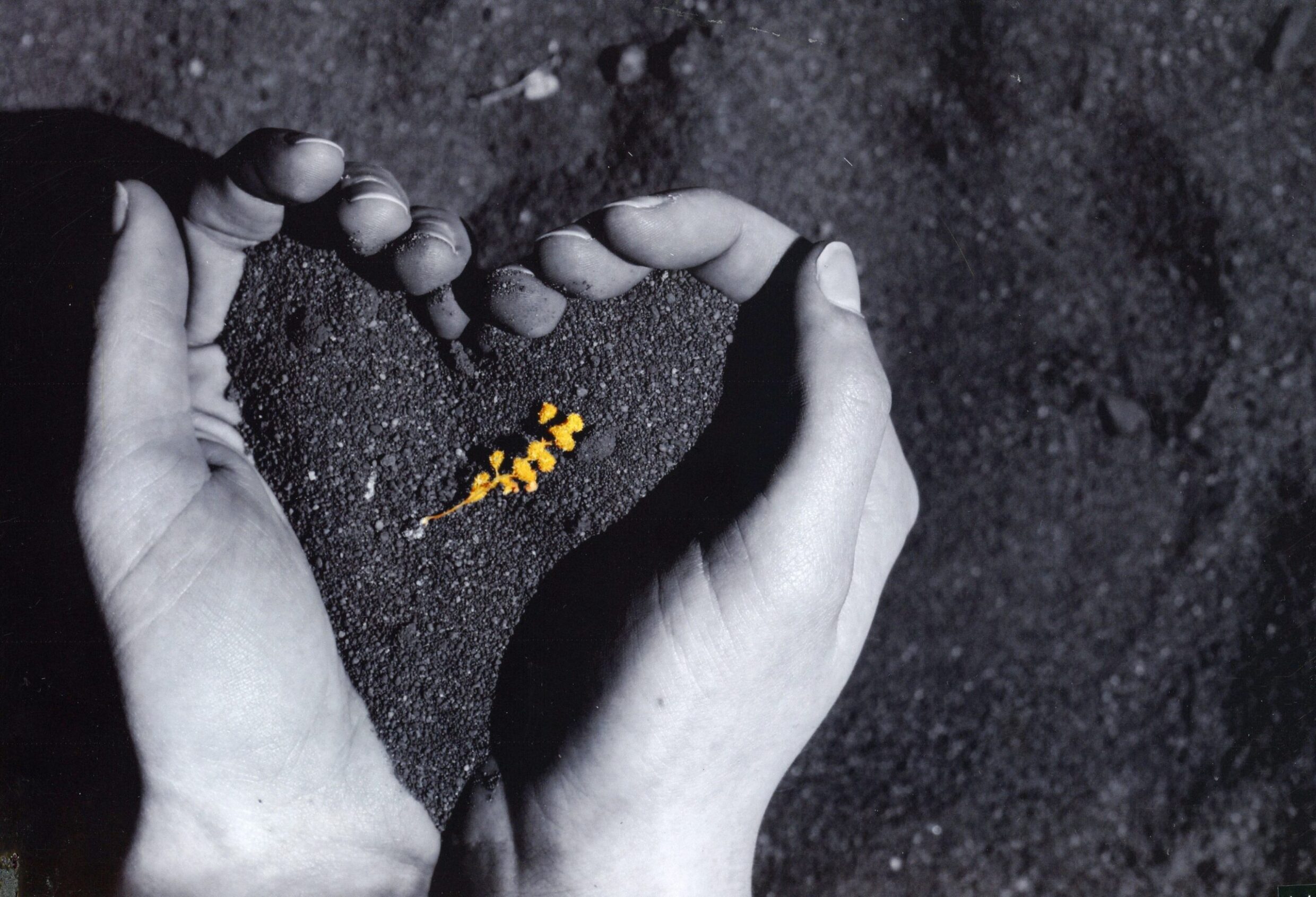 4th Prize Altered images Imogen Rayner, Canberra High School "Heart of Australia"