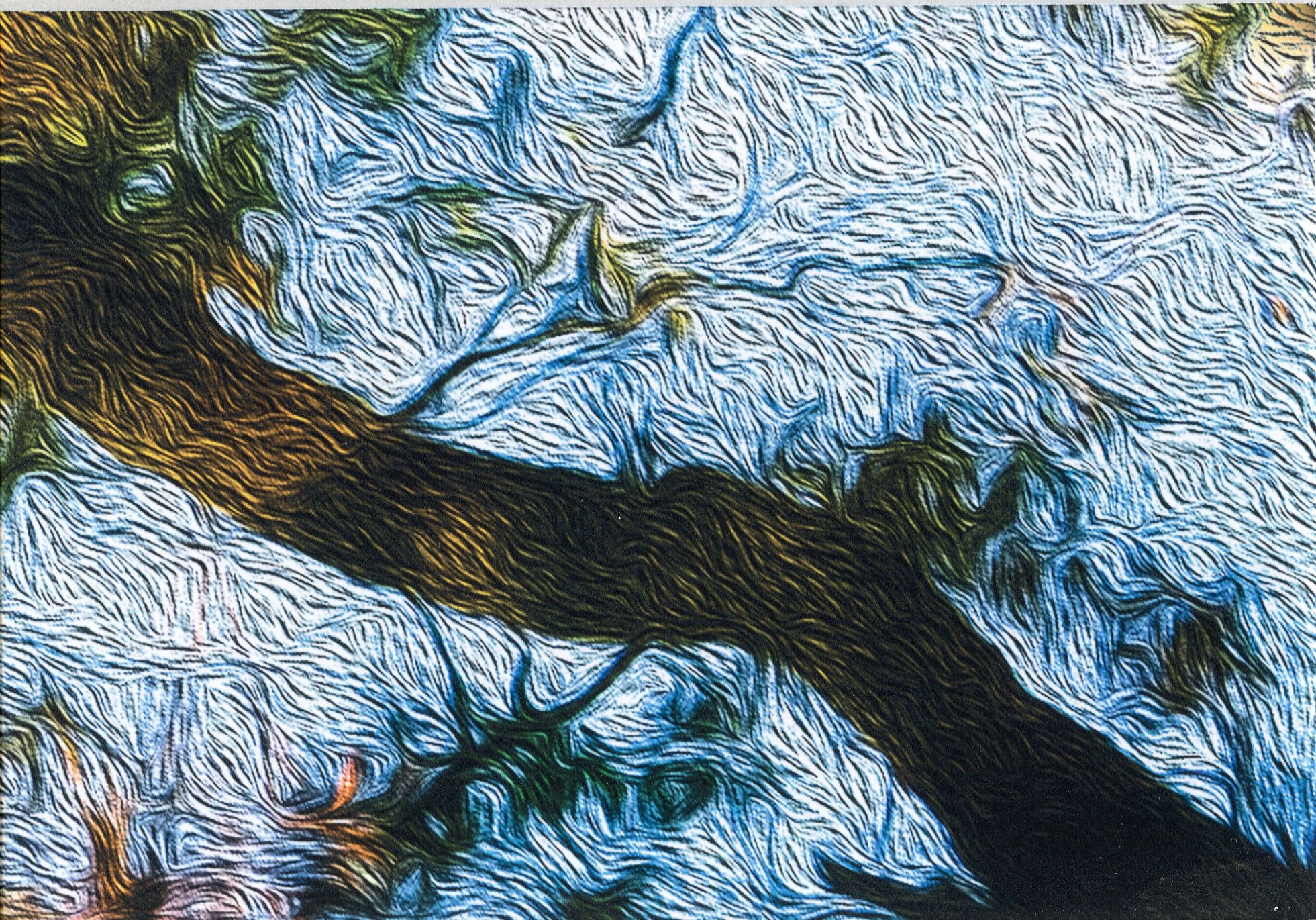 1st Prize Altered Reality Mackenzie Gniel, Canberra College "After Van Gogh"