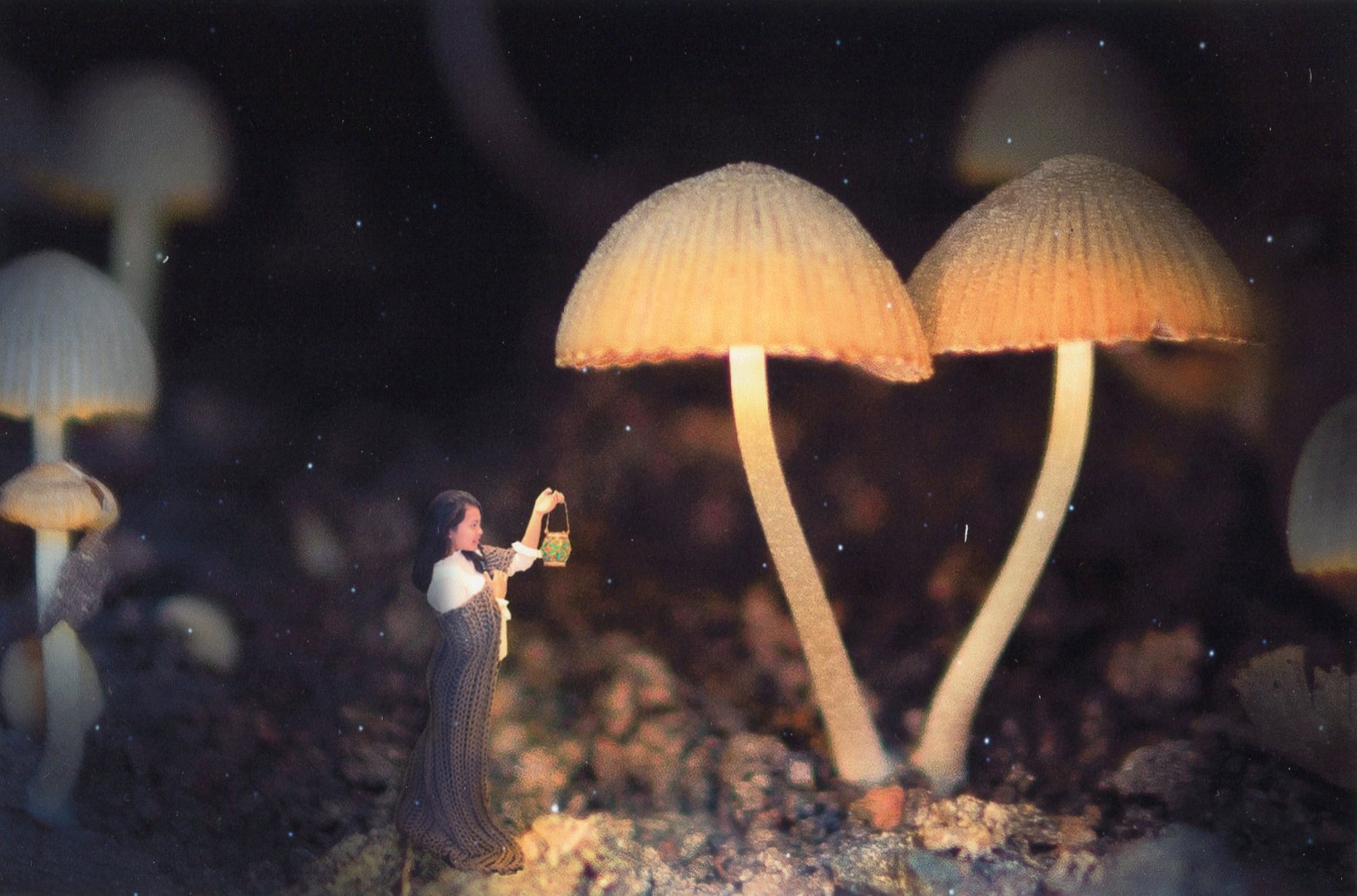 2nd Prize Altered Reality Soudanin Phengkhammy, Canberra College "Light It Up"