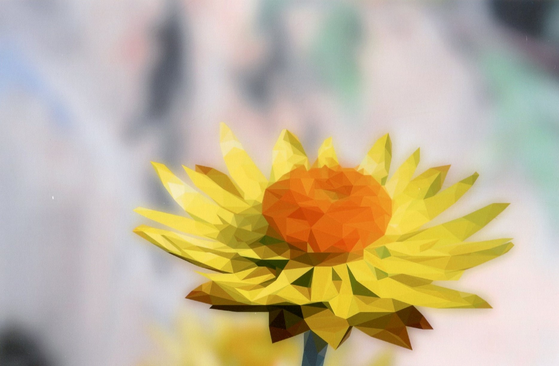 3rd Prize Altered Reality James Barancewicz, Canberra College "Low Poly"