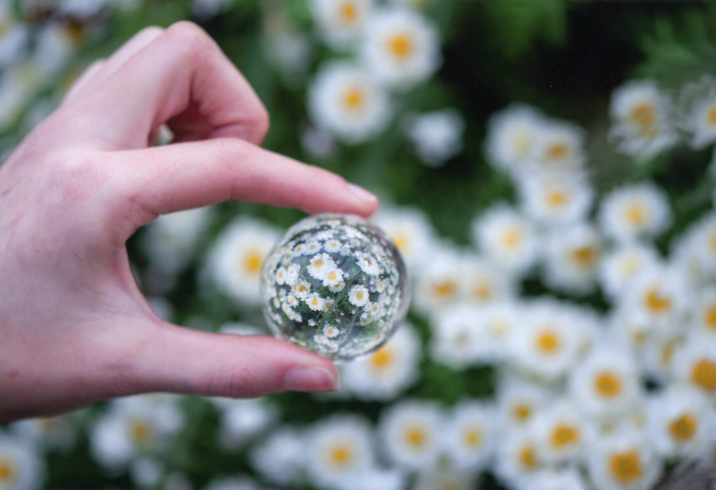 5th Prize Altered Reality Tasha Nerrie, Burgmann Anglican School "A Flipped Reality"