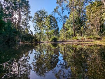 Image from front page of Feb-Mar Garden Path