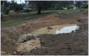 Chris Mobbs – Bragg Street Park, Hackett: Increasing biodiversity through water harvesting