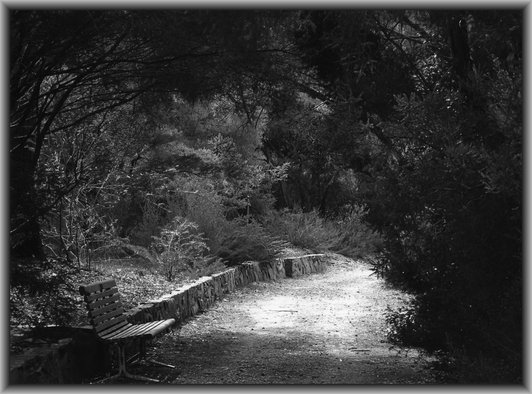 First Prize Winner: Rowan McGinness, St Clare's College "Garden Seat"