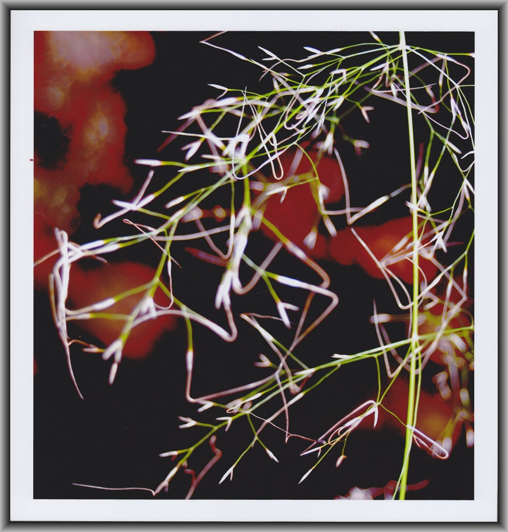 Highly Commended: Brittany Warren, Caroline Chisholm School Untitled