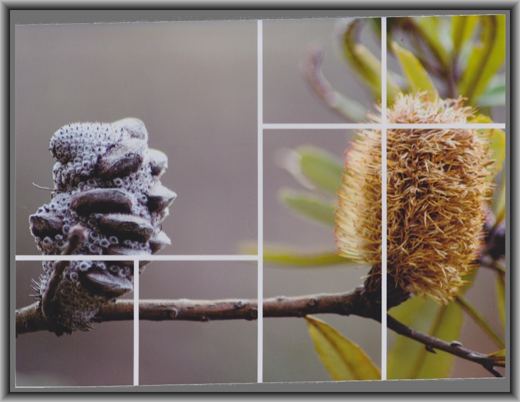 Highly Commended: Sara Lucic, Erindale College "Bonnie and Clyde"