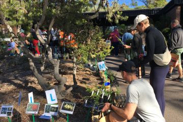 Buyers at the 2026 Growing Friends Plant Sale