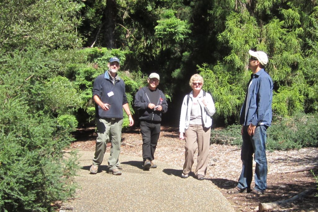 Way out West (Flora of WA) Themed Walks