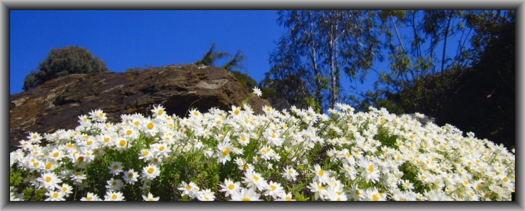 First Prize Winner: Michael Turnbull, Canberra HS "Rising"