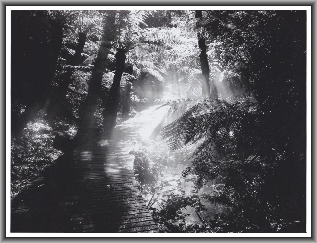 Highly Commended: Jack Xu, Canberra High School "Dawn"