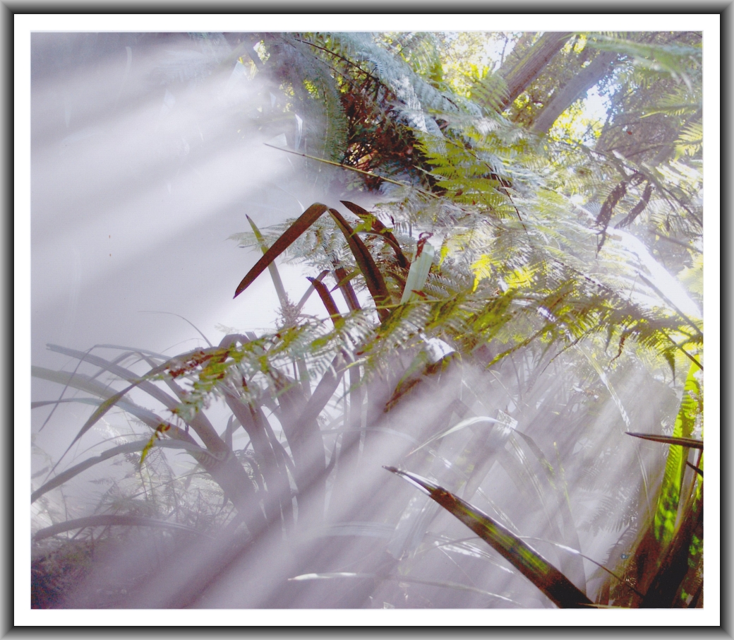 First Prize: Brittany Warren, Caroline Chisholm School Untitled