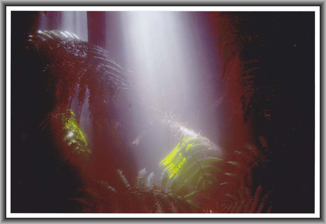 Second Prize: Cameron Cargill, Caroline Chisholm School Untitled