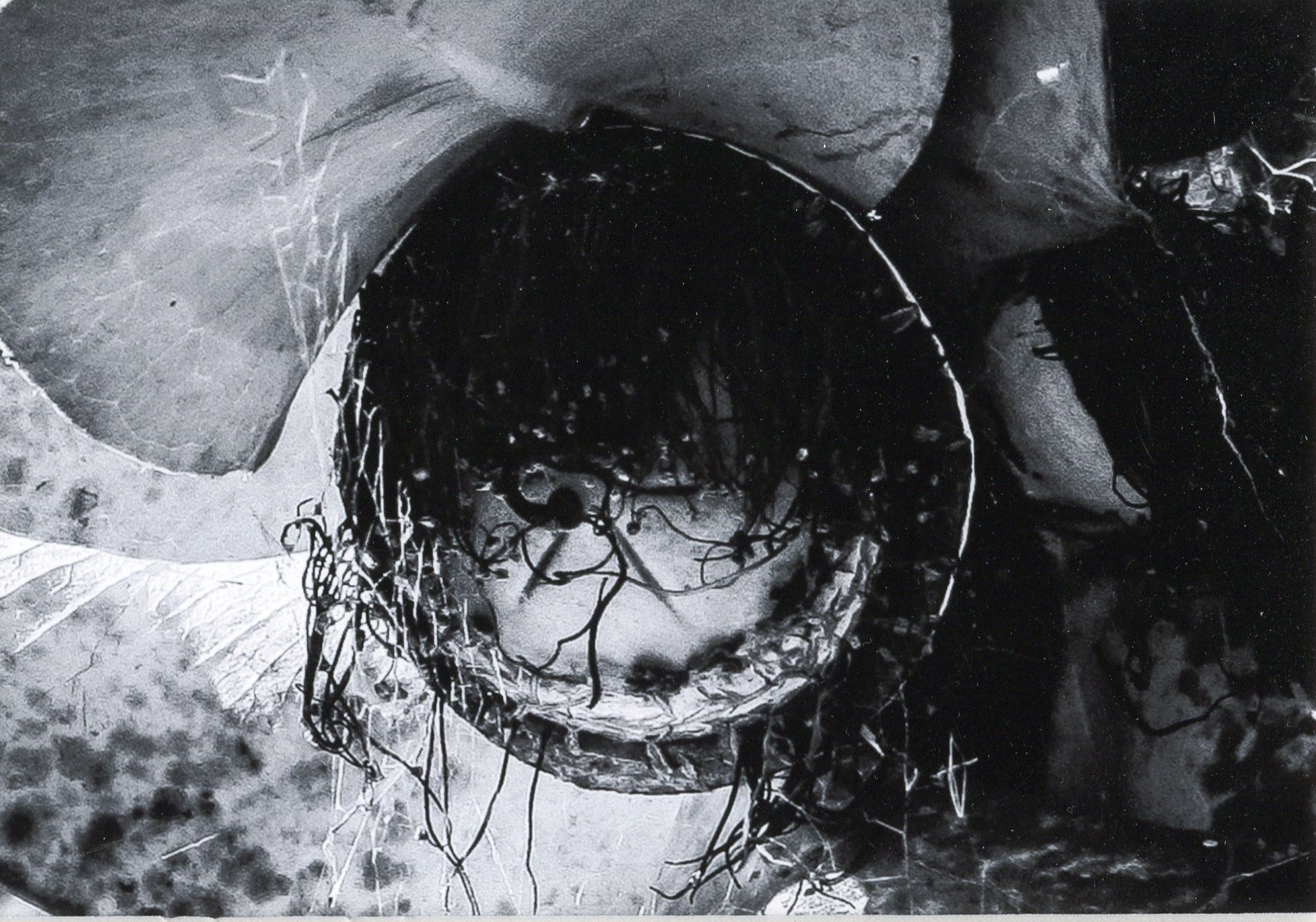 3rd Prize Monochrome Mackenzie Gniel, Canberra College "Gamburra (Flowers)"