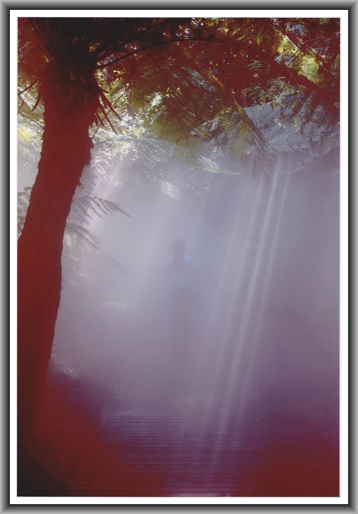 First Prize: Jessica Murray, Caroline Chisholm School Untitled