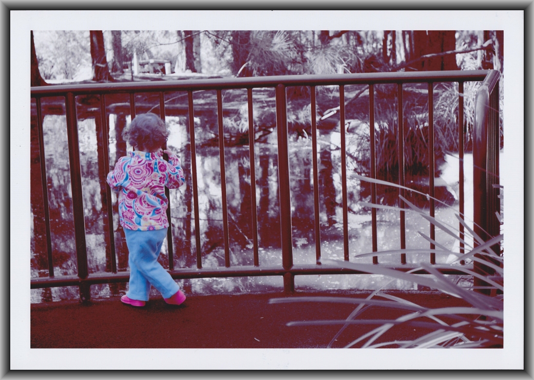 Second Prize: Jack Gruber, Caroline Chisholm School "Vision"