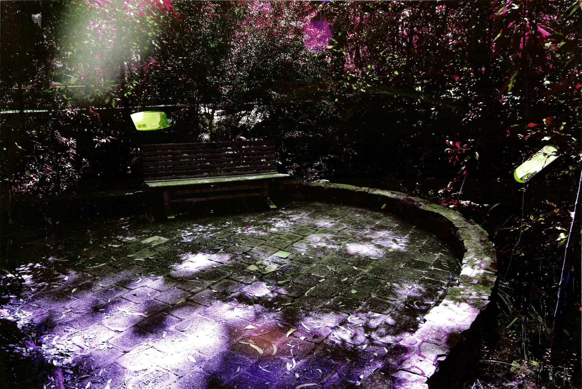 5th Prize Altered Images, Harrisson Davies, Marist College "Haze"