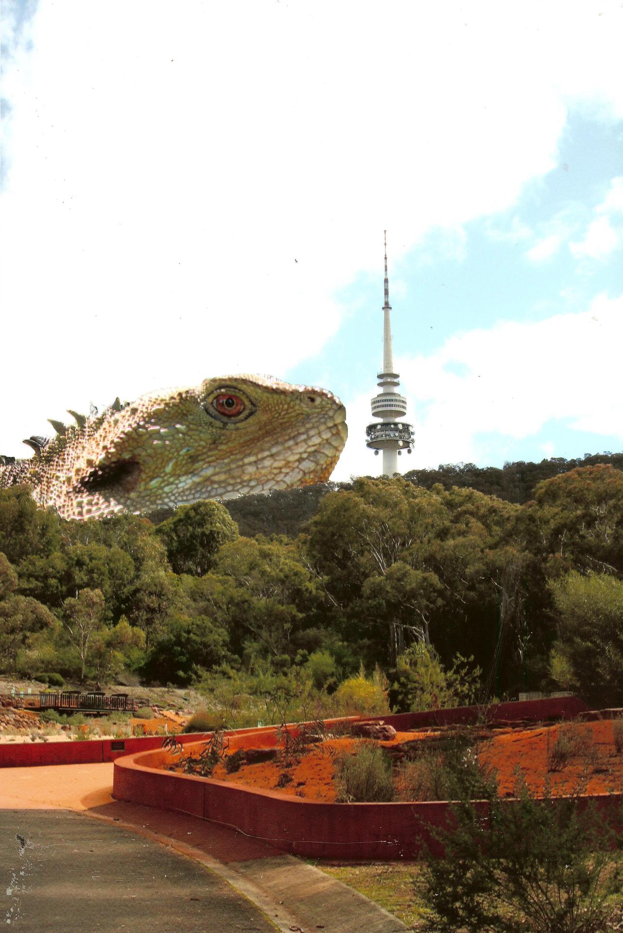 2nd Prize Altered Images, Errol Steed, Dickson College "Oh No!"