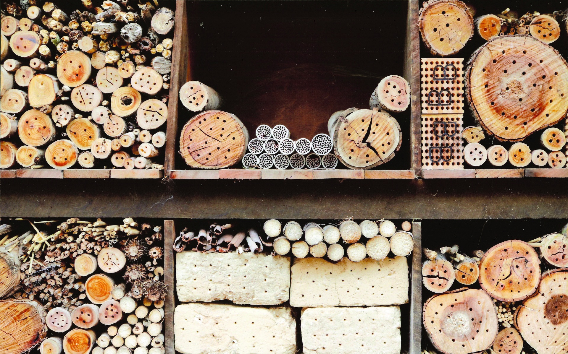 5th Prize Colour, Caitlin Johnstone, Canberra High School "Nesting place"