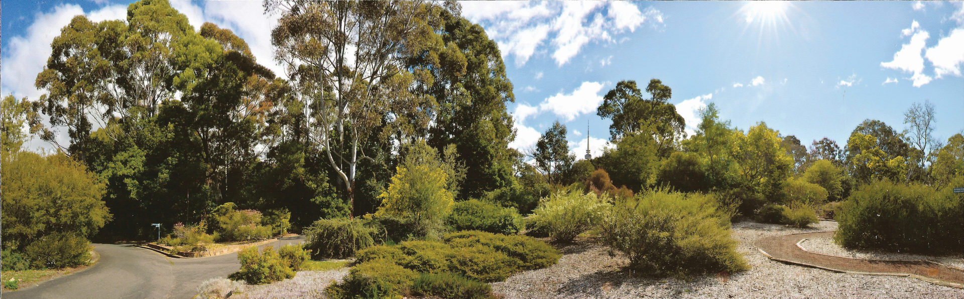 1st Prize Colour, Rushan Tucker, Dickson College "Garden Landscape"