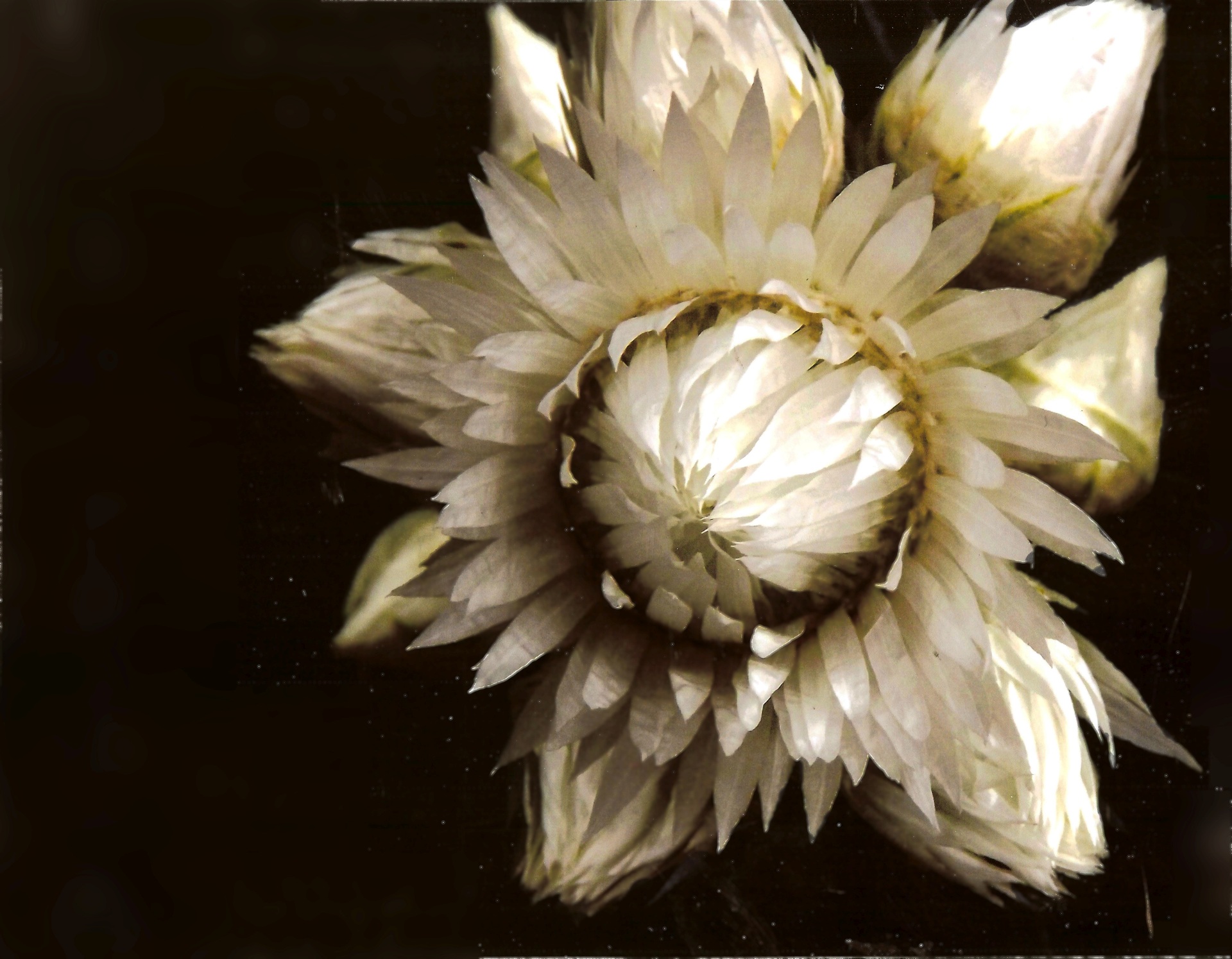 3rd Prize Colour, Casey Myers, Canberra High School "Look Closer"