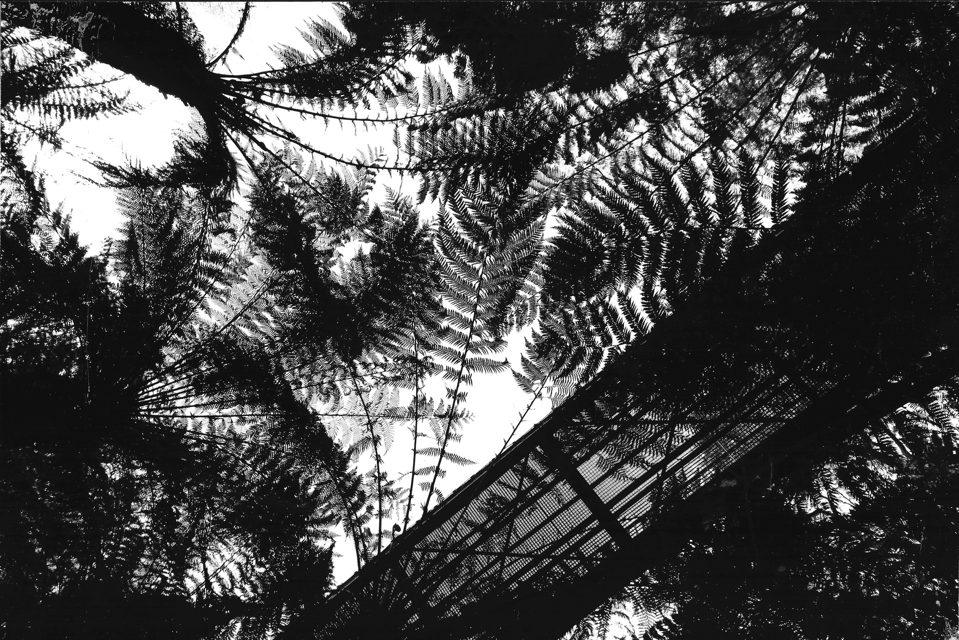 2nd Prize Monochrome, Mitchell Braithwaite, Dickson College "The Perspective is Key"