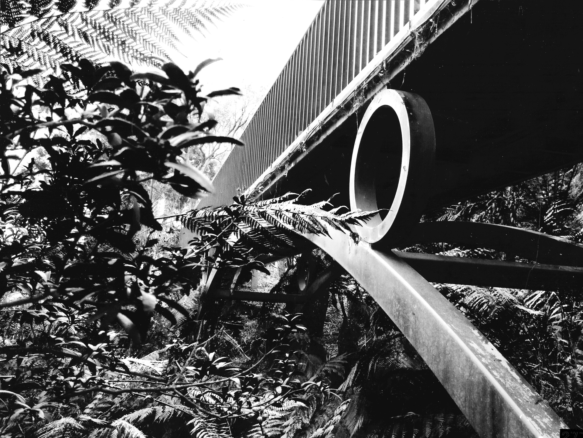 3rd Prize Monochrome, Helena Nguyen Doan, Canberra High School "Inbetween"