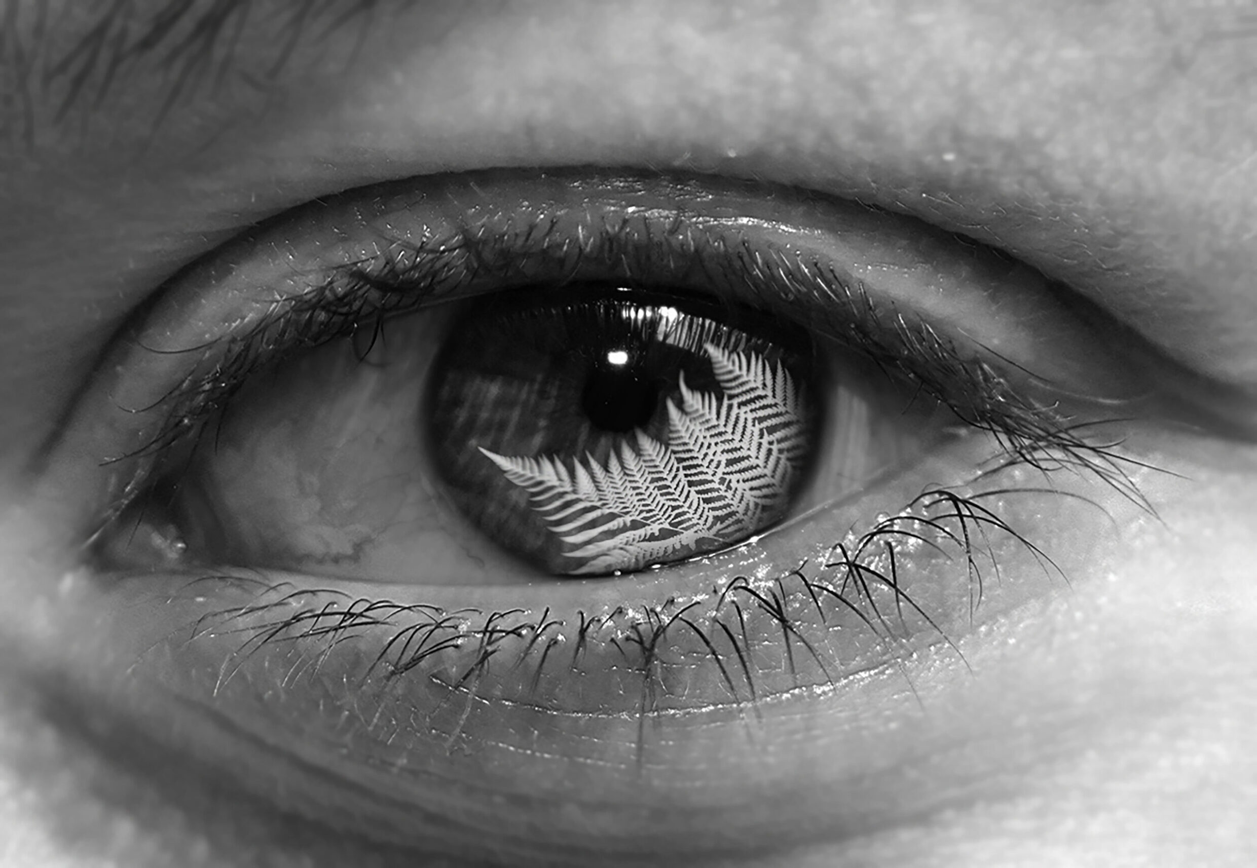 2nd Secondary Altered Reality Naturalist Saba Fahiz Melrose High School