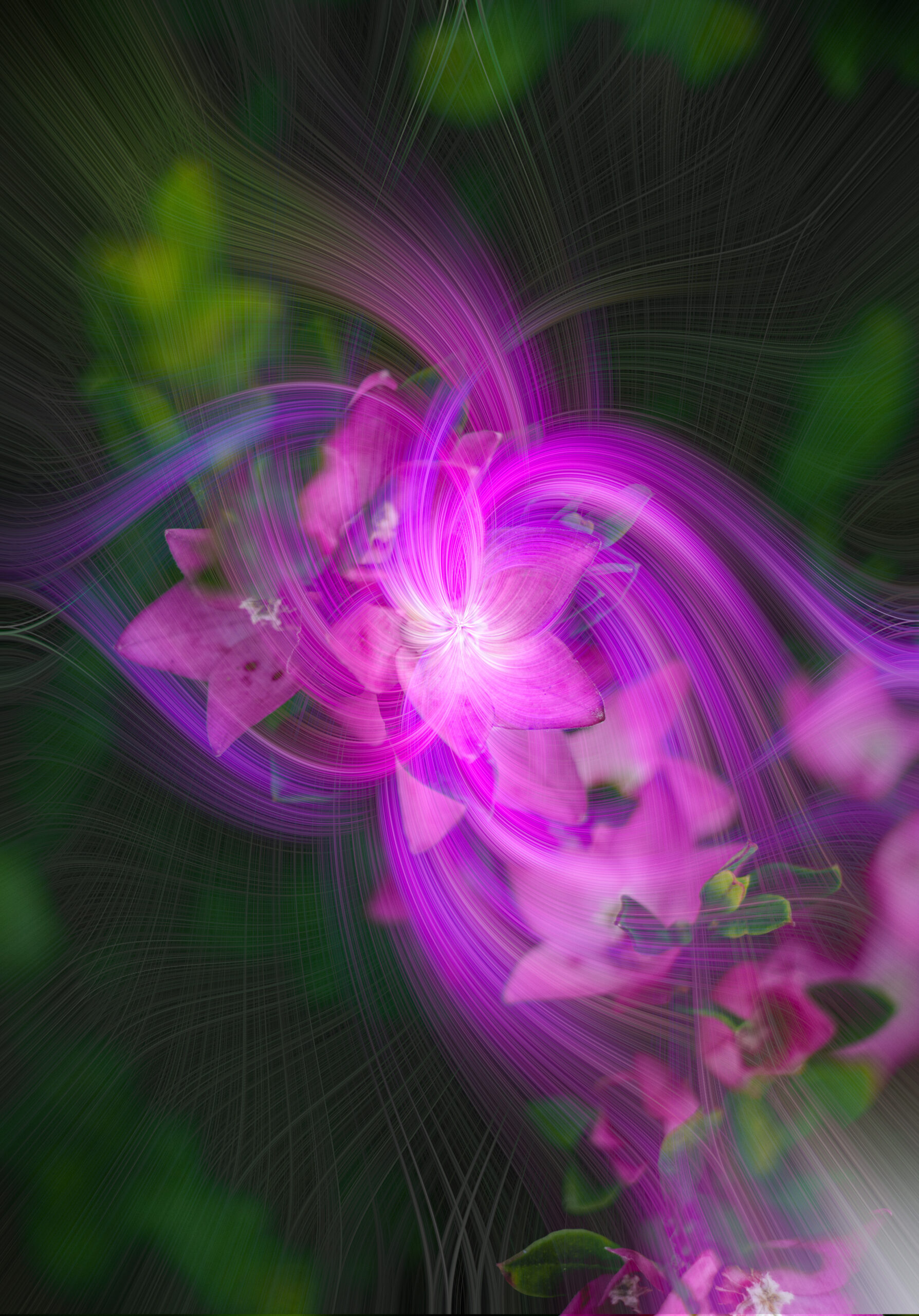 1st Secondary Altered Reality Flower Swirl Ari Matthews Canberra College