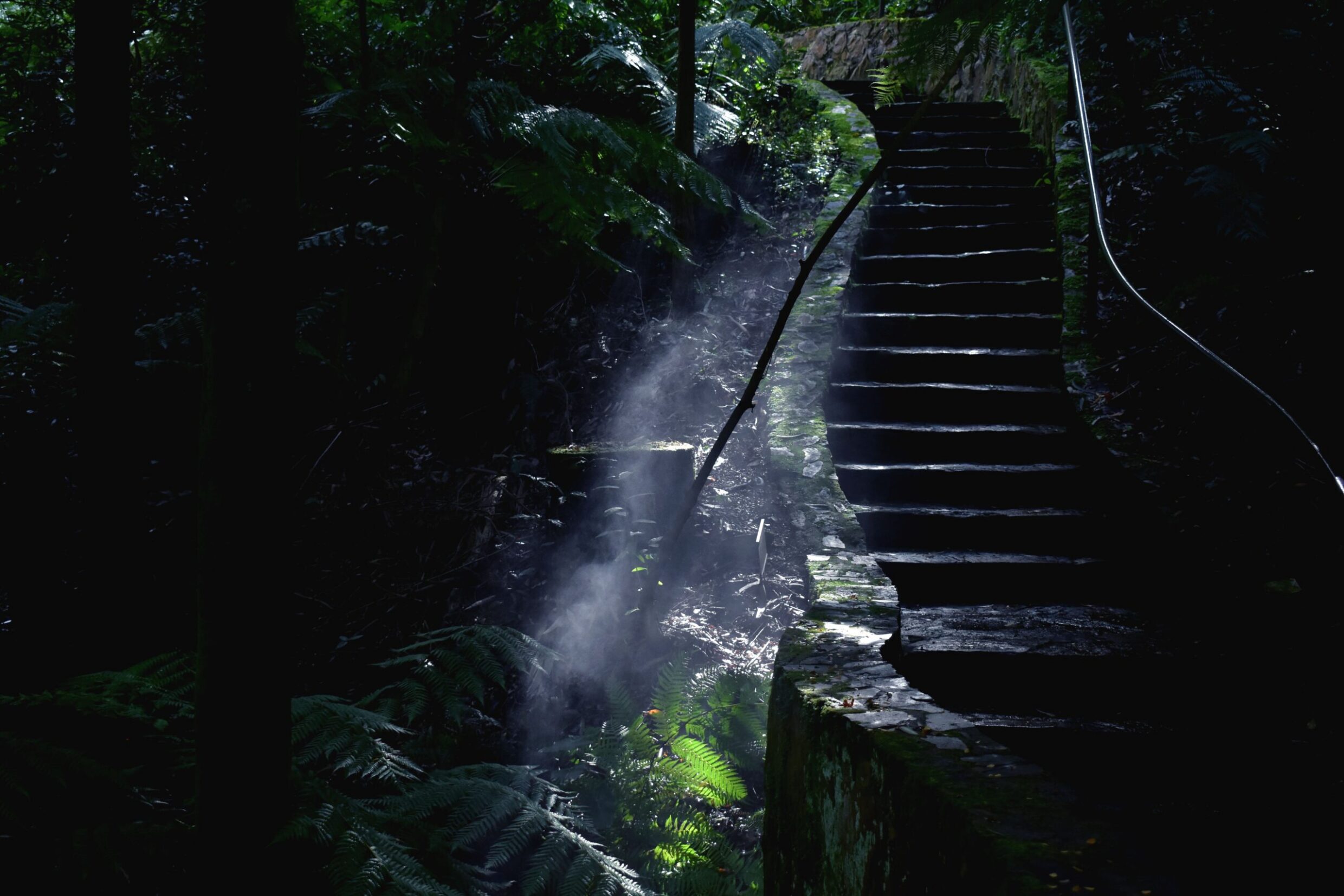 Highly Commended Stairway to a New World Eric Porter, Melrose High School