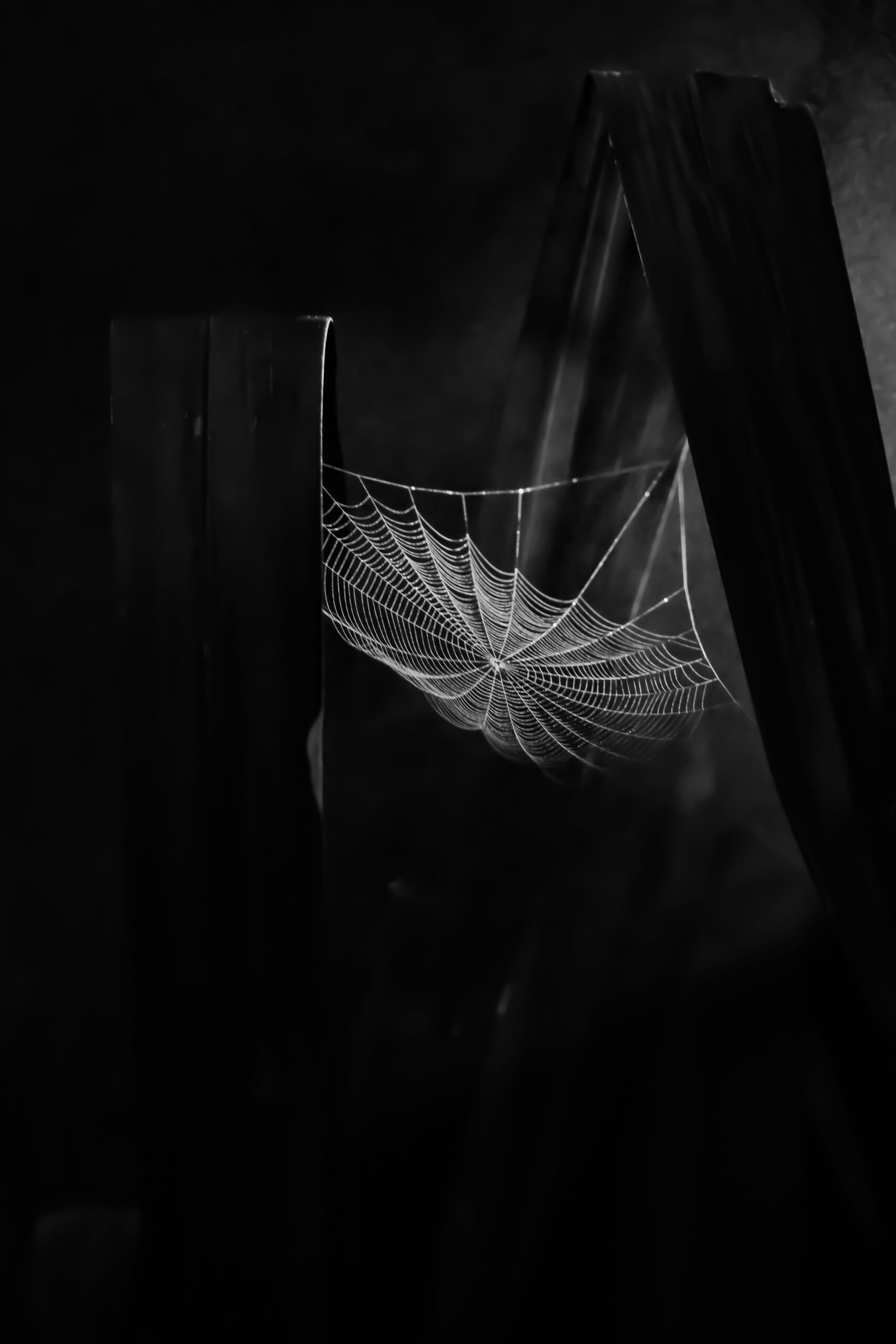 2nd Secondary Monochrome Sculpt Jordan Smith Melrose High School