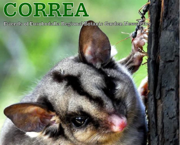 Front cover of the autumn 2026 edition of Correa