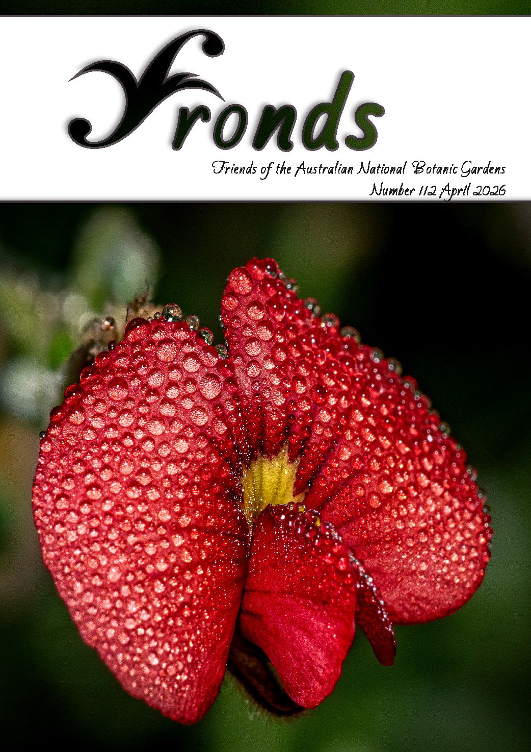 Cover of Fronds 112 April 2026