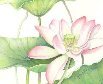 19th Annual Art Exhibition of the Friends’ Botanic Art Group
