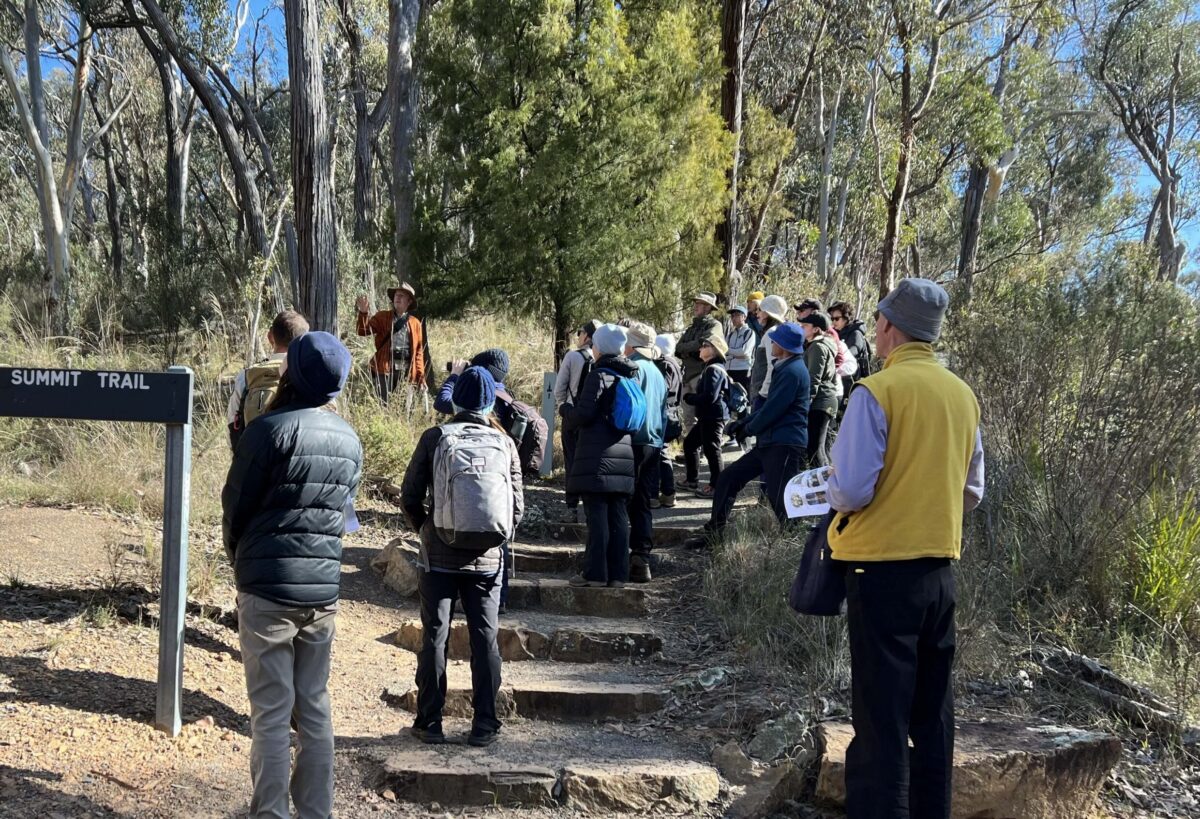 Group of walkers on Black Mountain Summit Trail