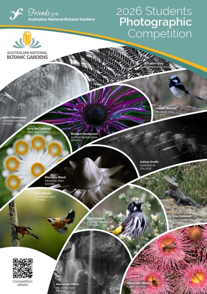 Poster showing a selection of winning and commended entries from 2025. Image credits L to R from top: Mako Takakusagi, Caitlin Gray, Lucy McClelland, Bridget Henderson, Joseph Bencke, Evan Banks, Monique Black, Ashley Smith, Alexander Mann, Ella Edwards, Evie Canavan, Alexander Moen