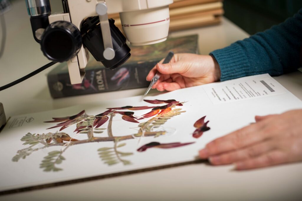 Australian National Herbarium Tour