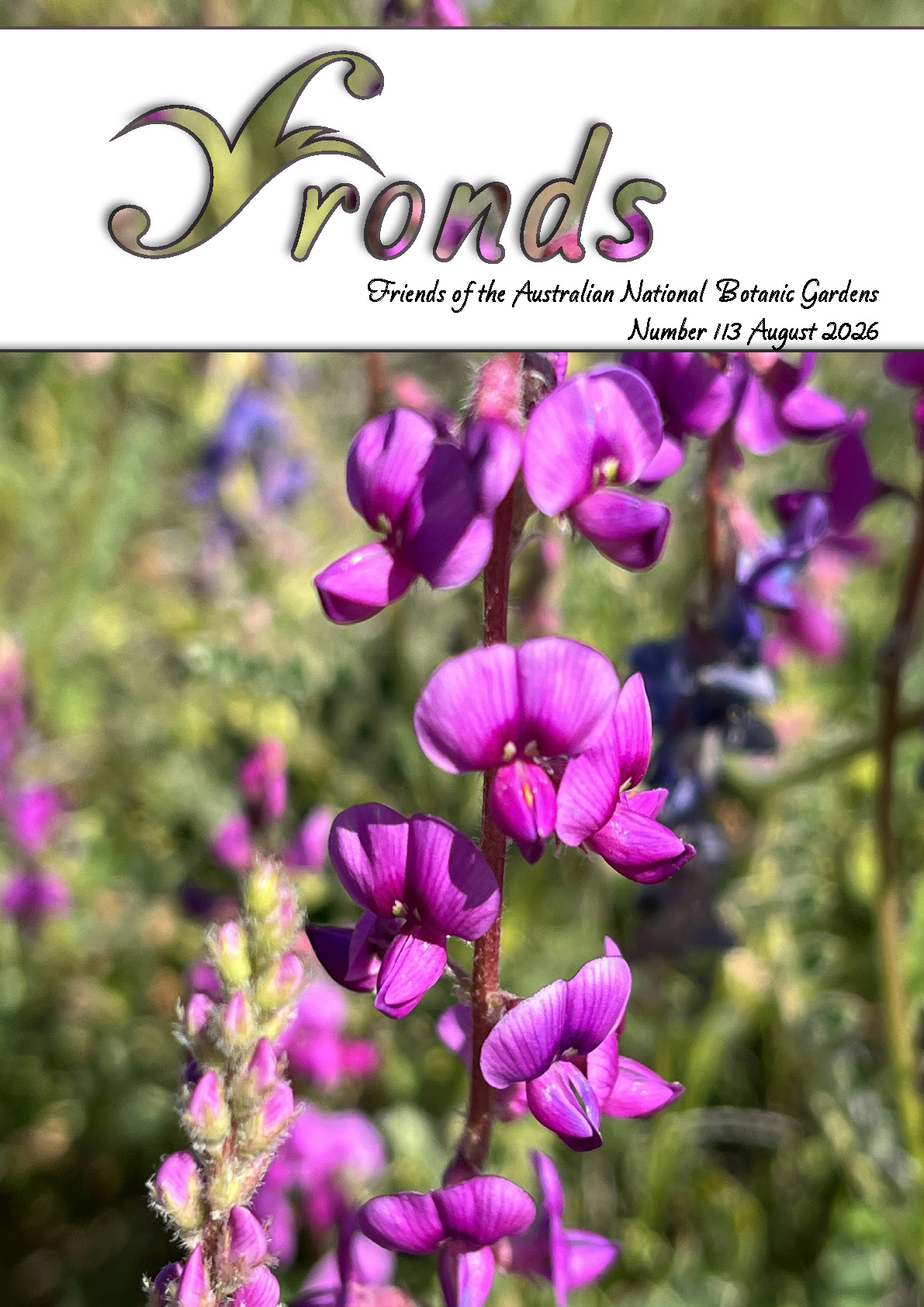 Front cover of Fronds number 113 August 2026