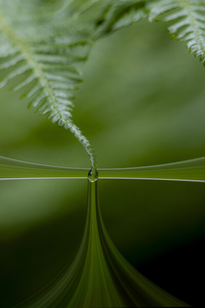 Altered Reality Second Prize - Zach Haynes, UC Senior Secondary College, Lake Ginninderra - Lost Droplet