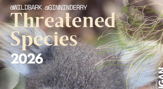 Wildbark Spring Newsletter