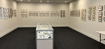 AIM Artworks in the ANBG Gallery