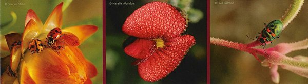 Three exhibition images