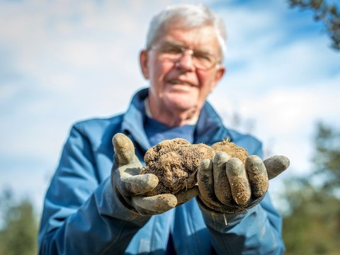 Truffle to be proud of 2023-03-05 (photo: Paul Henderson-Kelly) Truffle to be proud of 2023-03-05 (photo: Paul Henderson-Kelly)