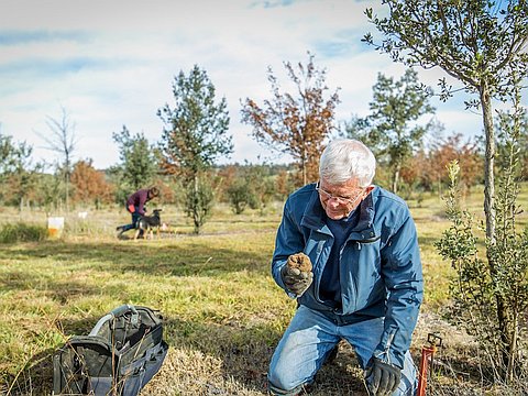 Wayne finds truffle and dog ready to hunt truffles 2023-03-05 (photo: Paul Henderson-Kelly) Wayne finds truffle and dog ready to hunt truffles 2023-03-05 (photo: Paul Henderson-Kelly)